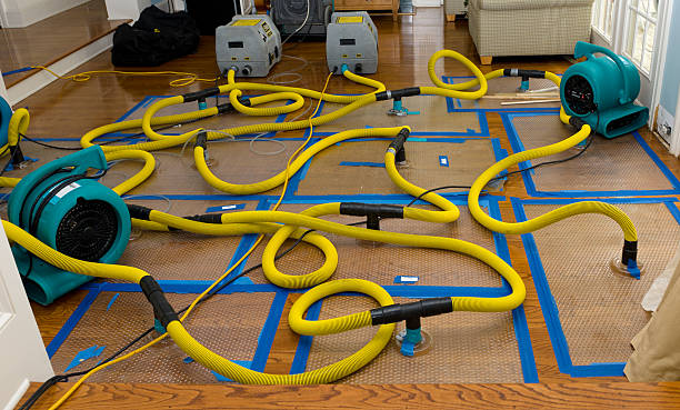 Professional Water Damage Restoration technician working in Kidder, MO